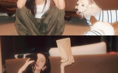 八匹狼成人社区